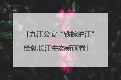 九江公安“铁腕护江”绘就长江生态新画卷