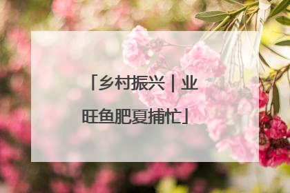 乡村振兴｜业旺鱼肥夏捕忙