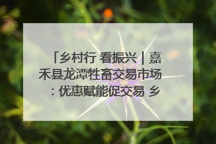 乡村行 看振兴｜嘉禾县龙潭牲畜交易市场：优惠赋能促交易 乡村振兴添动能
