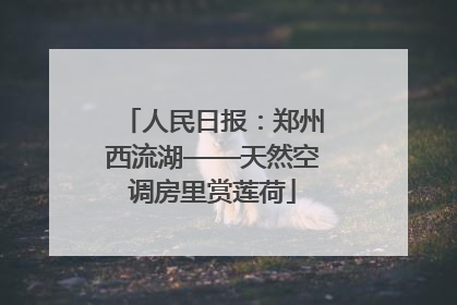 人民日报：郑州西流湖——天然空调房里赏莲荷