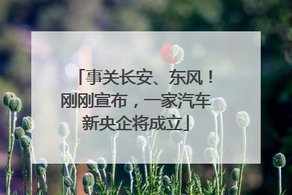 事关长安、东风！刚刚宣布，一家汽车新央企将成立