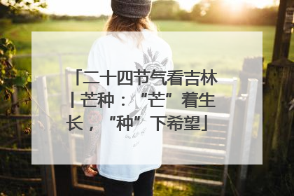 二十四节气看吉林丨芒种：“芒”着生长，“种”下希望
