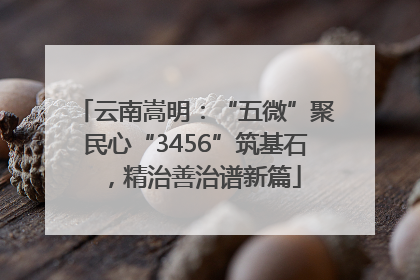 云南嵩明：“五微”聚民心“3456”筑基石，精治善治谱新篇