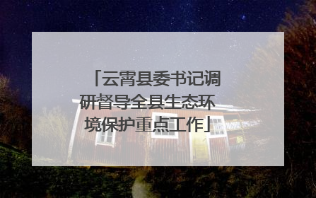 云霄县委书记调研督导全县生态环境保护重点工作