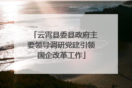 云霄县委县政府主要领导调研党建引领国企改革工作