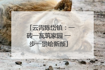 云霄陈岱镇：一砖一瓦筑家园 一步一景绘新颜