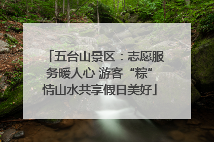 五台山景区：志愿服务暖人心 游客“粽”情山水共享假日美好