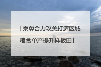 京冀合力攻关打造区域粮食单产提升样板田