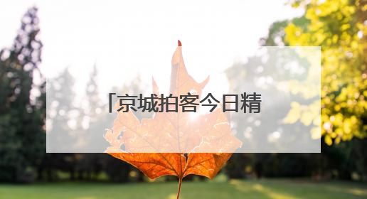 京城拍客今日精选｜风过麦浪香 白塔入云端