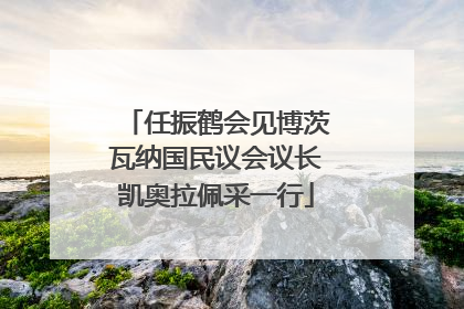 任振鹤会见博茨瓦纳国民议会议长凯奥拉佩采一行