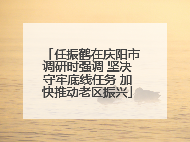 任振鹤在庆阳市调研时强调 坚决守牢底线任务 加快推动老区振兴