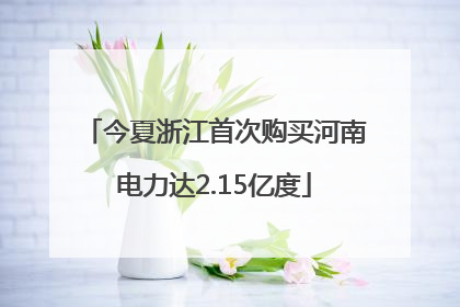 今夏浙江首次购买河南电力达2.15亿度