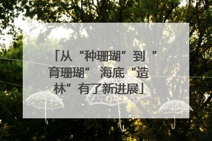 从“种珊瑚”到“育珊瑚” 海底“造林”有了新进展