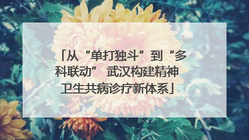从“单打独斗”到“多科联动” 武汉构建精神卫生共病诊疗新体系