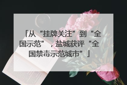 从“挂牌关注”到“全国示范”，盐城获评“全国禁毒示范城市”