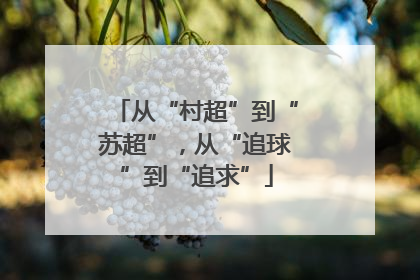 从“村超”到“苏超”，从“追球”到“追求”
