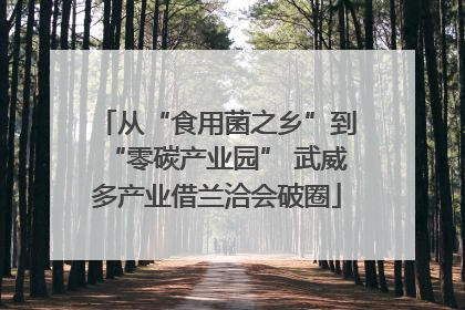 从“食用菌之乡”到“零碳产业园” 武威多产业借兰洽会破圈