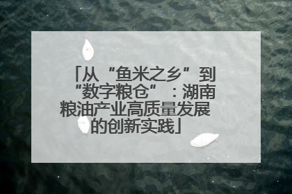从“鱼米之乡”到“数字粮仓”：湖南粮油产业高质量发展的创新实践