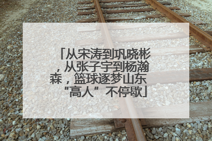 从宋涛到巩晓彬，从张子宇到杨瀚森，篮球逐梦山东“高人”不停歇