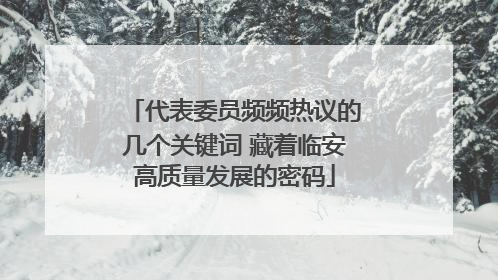 代表委员频频热议的几个关键词 藏着临安高质量发展的密码