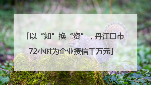 以“知”换“资”，丹江口市72小时为企业授信千万元