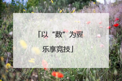以“数”为翼 乐享竞技