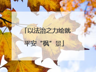 以法治之力绘就平安“枫”景