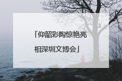 仰韶彩陶惊艳亮相深圳文博会