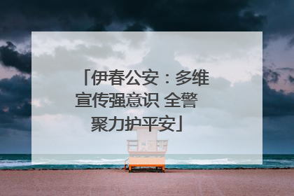 伊春公安：多维宣传强意识 全警聚力护平安