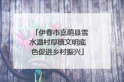 伊春市嘉荫县雪水温村厚植文明底色促进乡村振兴