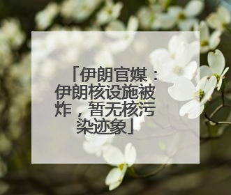 伊朗官媒：伊朗核设施被炸，暂无核污染迹象