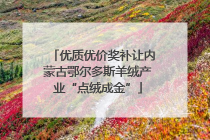优质优价奖补让内蒙古鄂尔多斯羊绒产业“点绒成金”