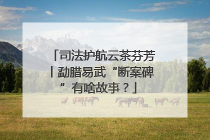 司法护航云茶芬芳丨勐腊易武“断案碑”有啥故事？