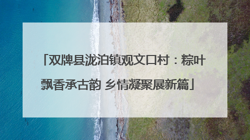 双牌县泷泊镇观文口村：粽叶飘香承古韵 乡情凝聚展新篇