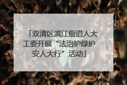 双清区滨江街道人大工委开展“法治护绿护安人大行”活动