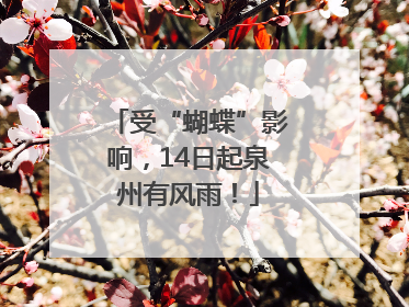 受“蝴蝶”影响，14日起泉州有风雨！