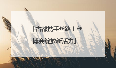 古都携手丝路！丝博会绽放新活力