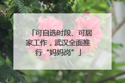 可自选时段、可居家工作，武汉全面推行“妈妈岗”