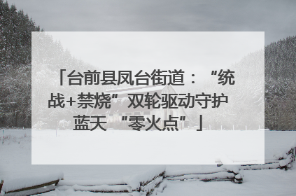 台前县凤台街道：“统战+禁烧”双轮驱动守护蓝天 “零火点”