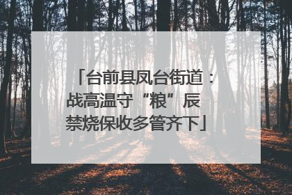 台前县凤台街道：战高温守“粮”辰 禁烧保收多管齐下