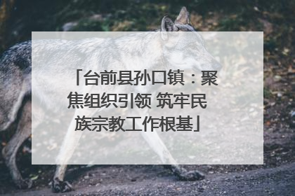 台前县孙口镇：聚焦组织引领 筑牢民族宗教工作根基
