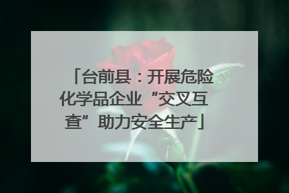 台前县：开展危险化学品企业“交叉互查”助力安全生产