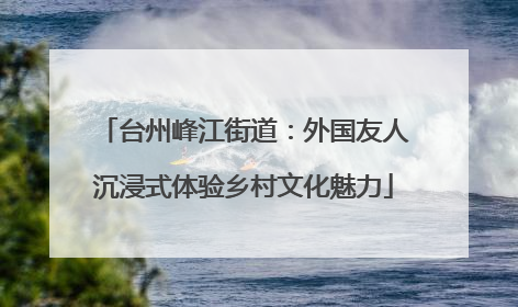 台州峰江街道：外国友人沉浸式体验乡村文化魅力