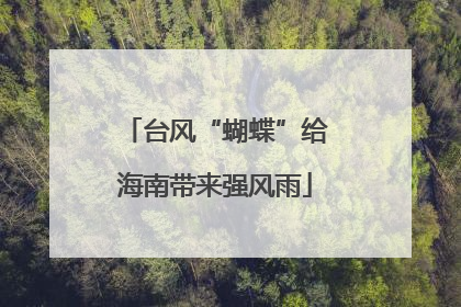 台风“蝴蝶”给海南带来强风雨