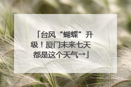 台风“蝴蝶”升级！厦门未来七天都是这个天气→