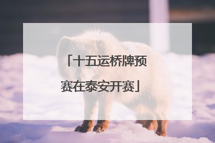 十五运桥牌预赛在泰安开赛