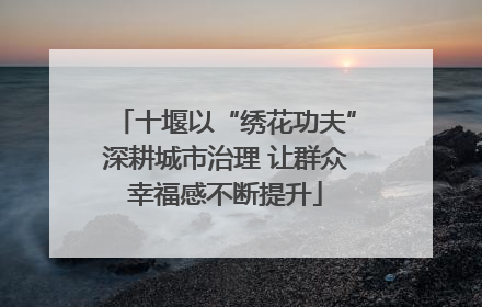 十堰以“绣花功夫”深耕城市治理 让群众幸福感不断提升