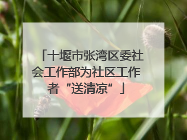 十堰市张湾区委社会工作部为社区工作者“送清凉”