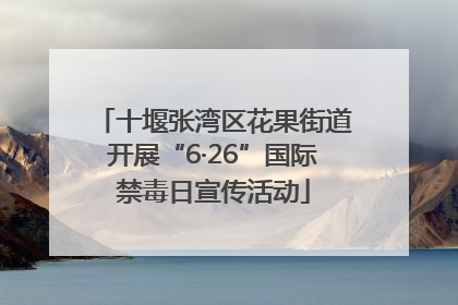 十堰张湾区花果街道开展“6·26”国际禁毒日宣传活动