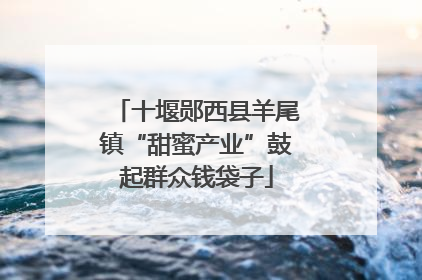十堰郧西县羊尾镇“甜蜜产业”鼓起群众钱袋子
